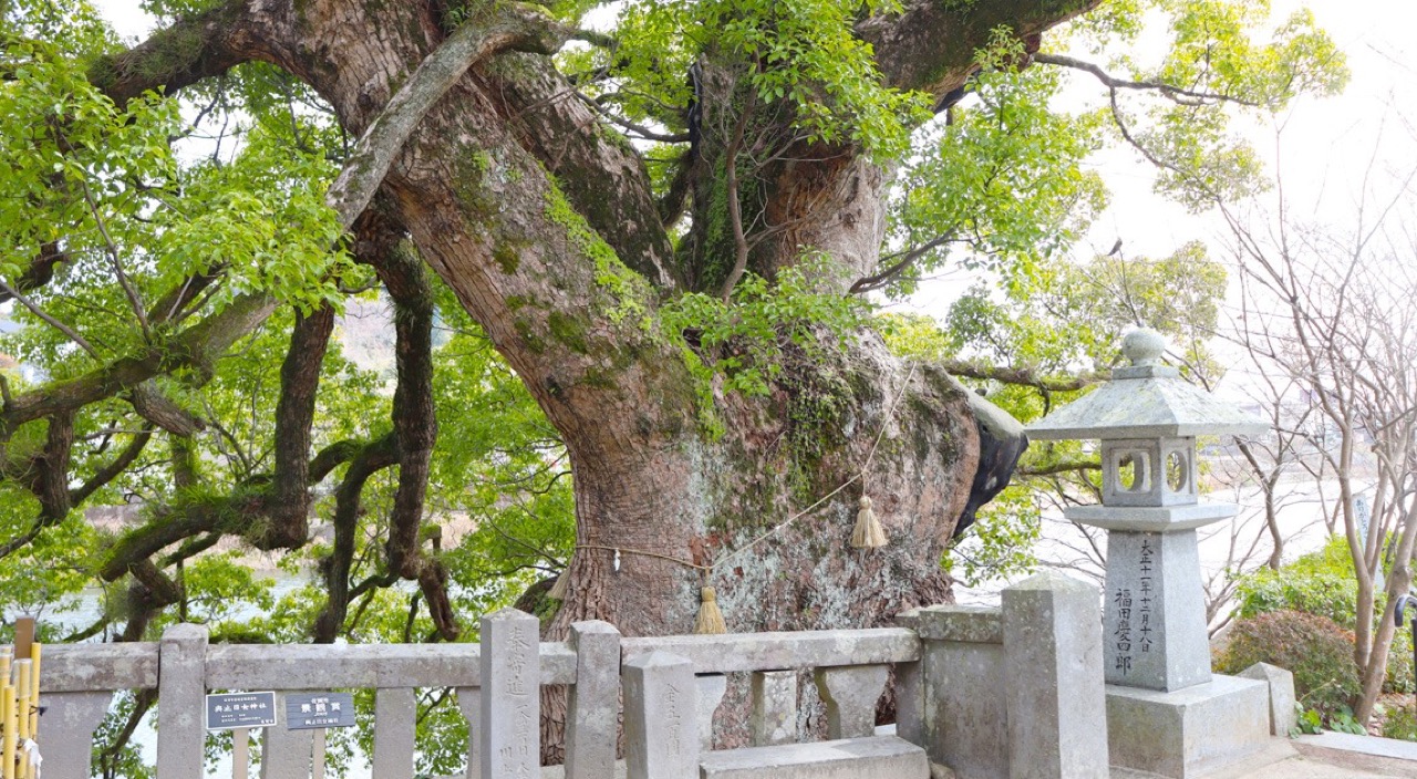 與止日女神社(川上神社・通称:淀姫さん)