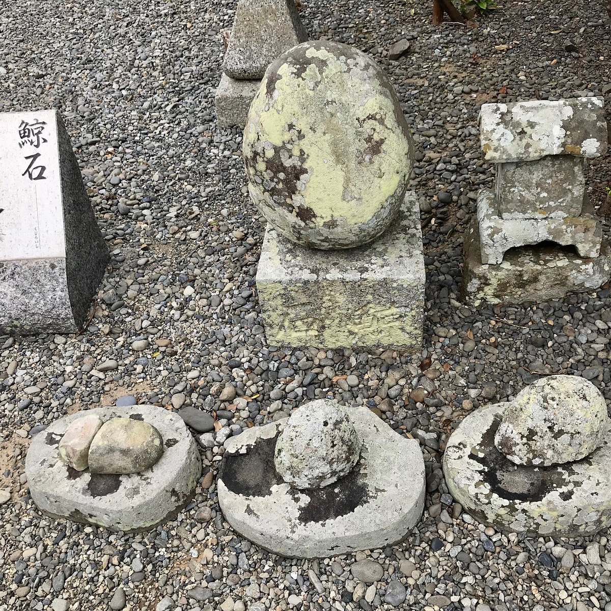 波切神社 鯨石
